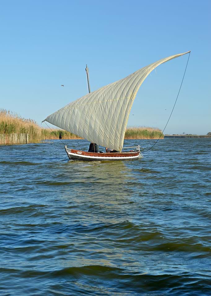 Latin Sail