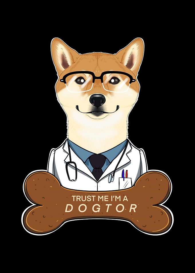 Veterinary Shiba Inu