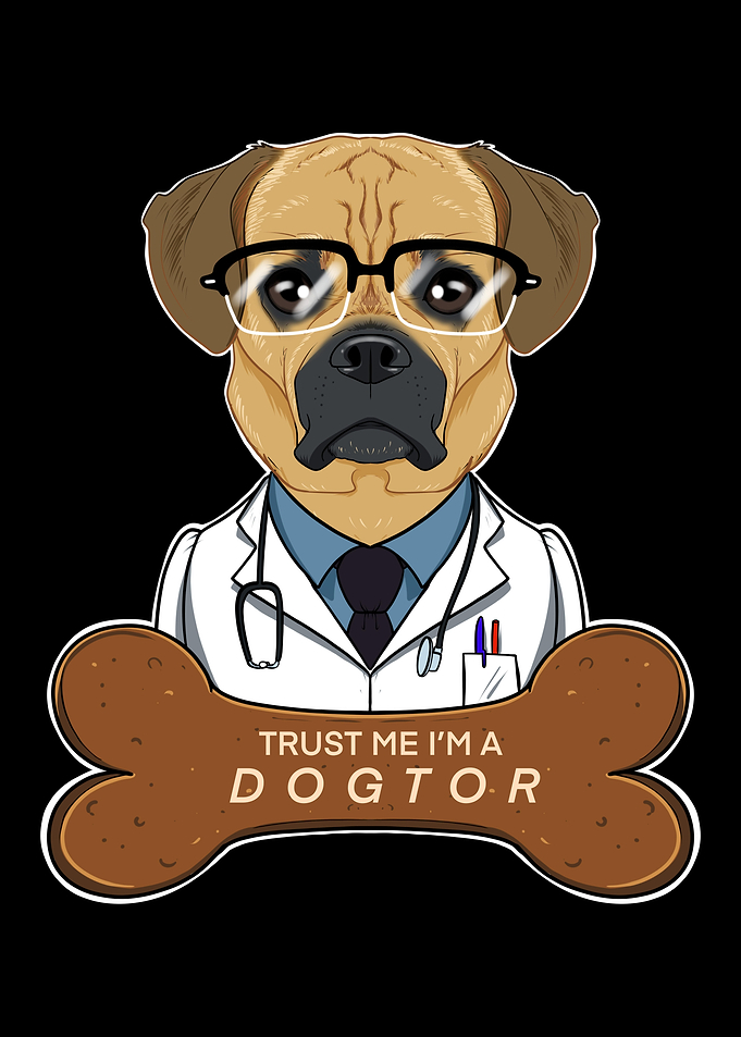Veterinary Puggle Dogtor