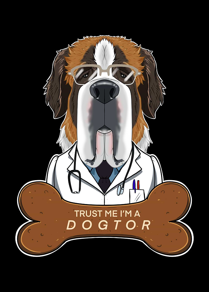 Veterinary Saint Bernard