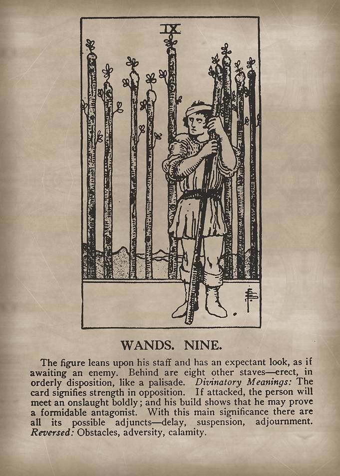 Wands Nine Tarot Card