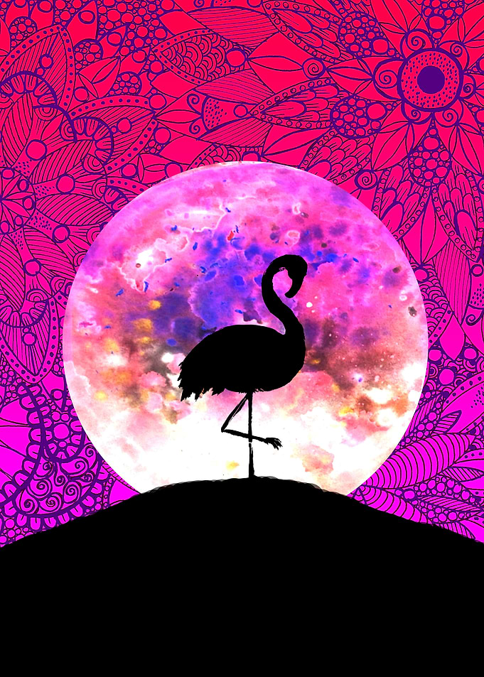 Flamingo Moon Hill