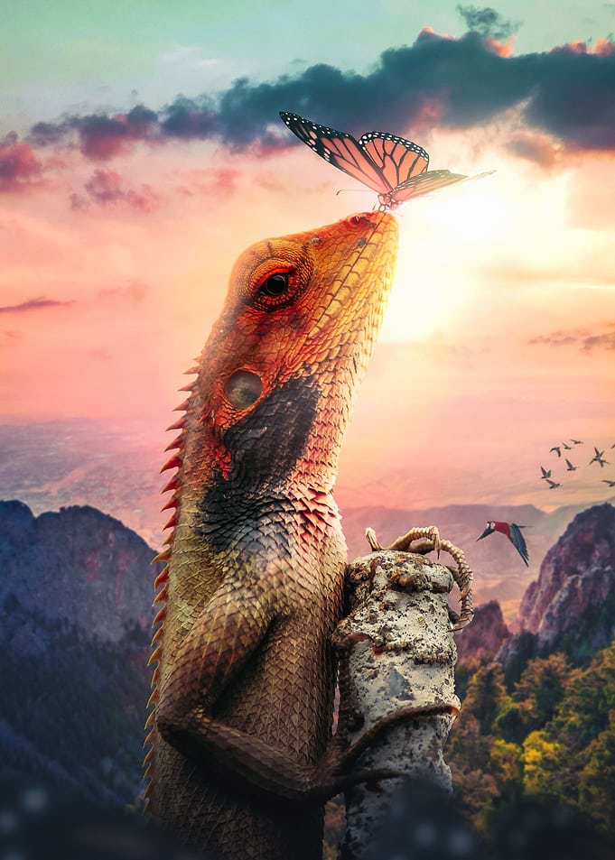 Climbing Lizard