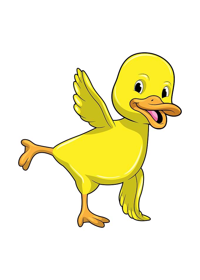 Duck Yoga Stretching