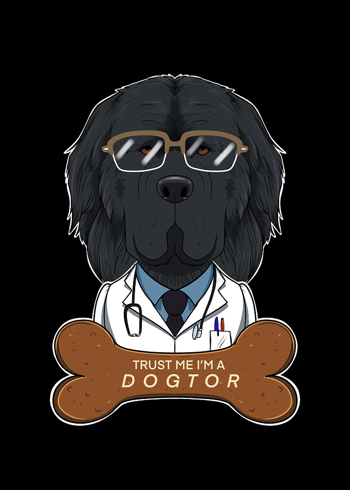 Veterinary Newfoundland