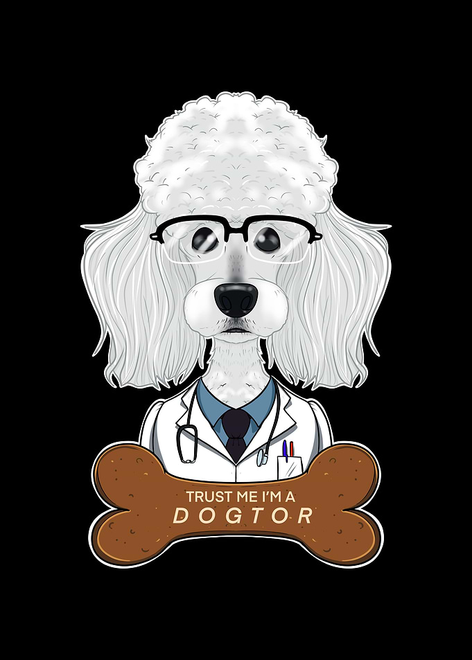 Veterinary Poodle Dogtor