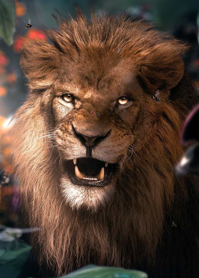 Wild Lion