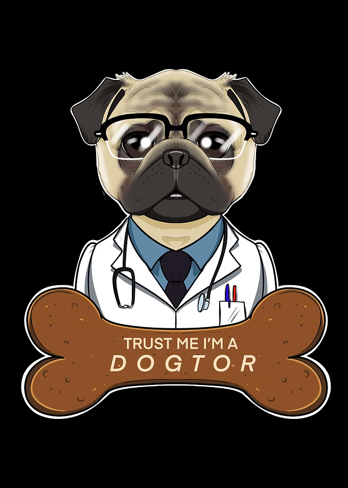 Veterinary Pug Dogtor