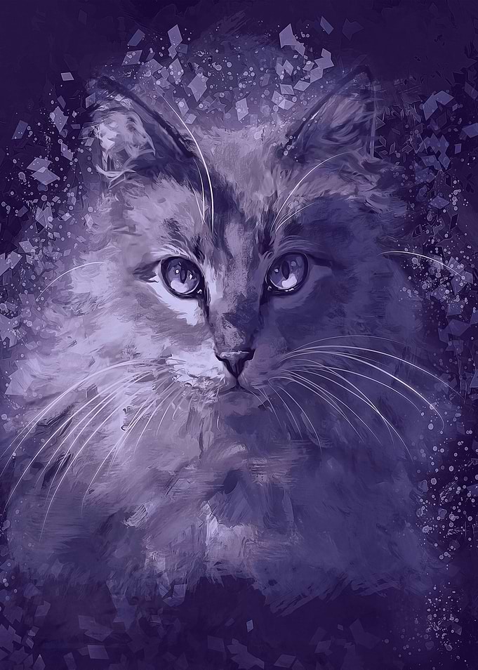 Purple Cat