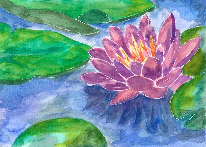 Purple Lotus Flower