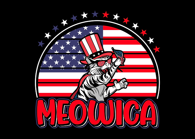 USA Patriotic Cat