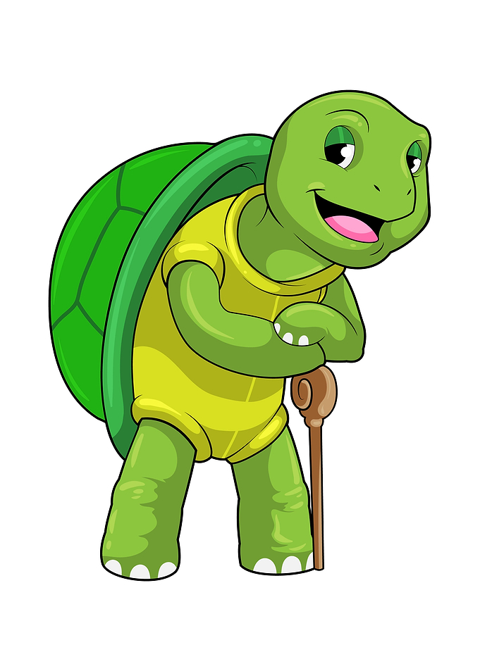 Turtle Pensioner Hiker
