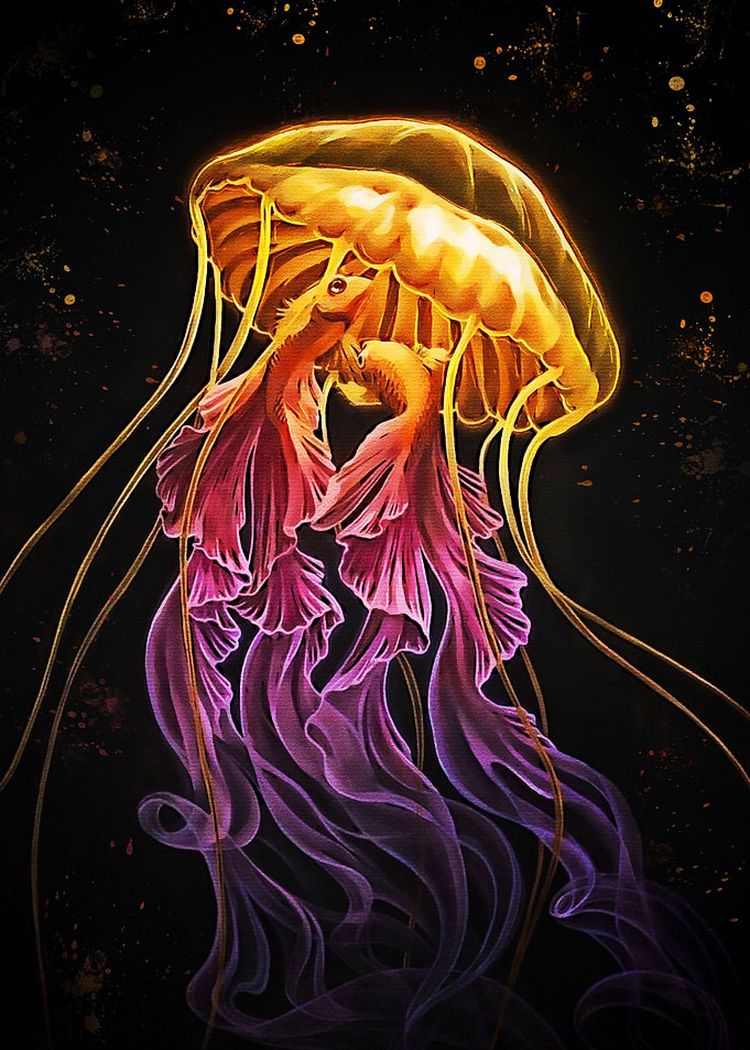 jellyfish new art