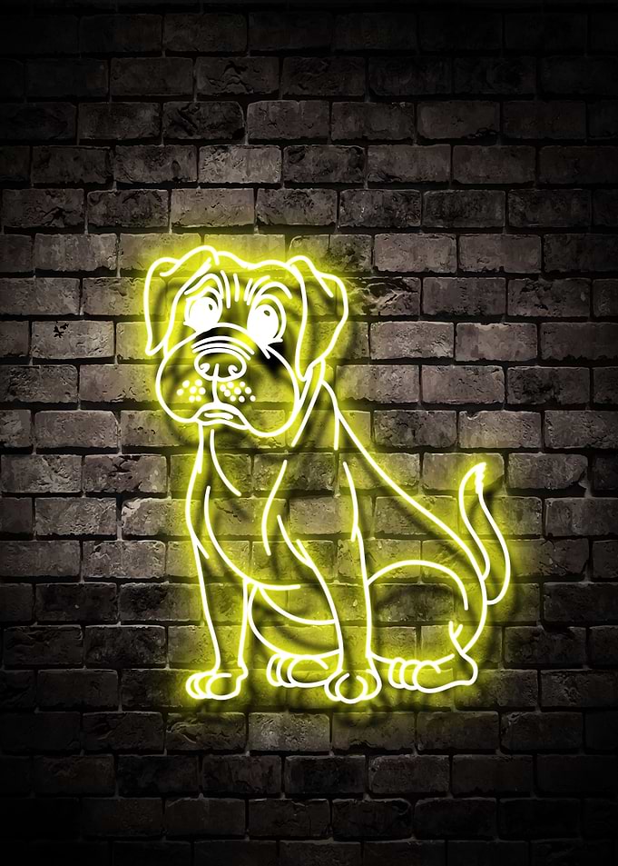Dog Animal