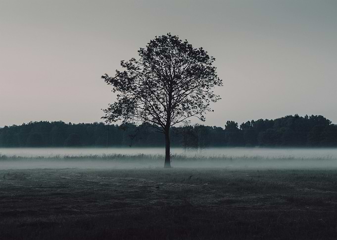 Darkness