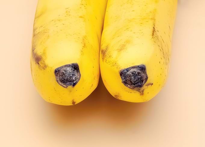 Banana nipples closeup