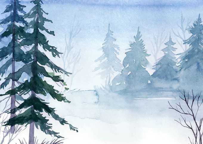 Misty Pine Woods