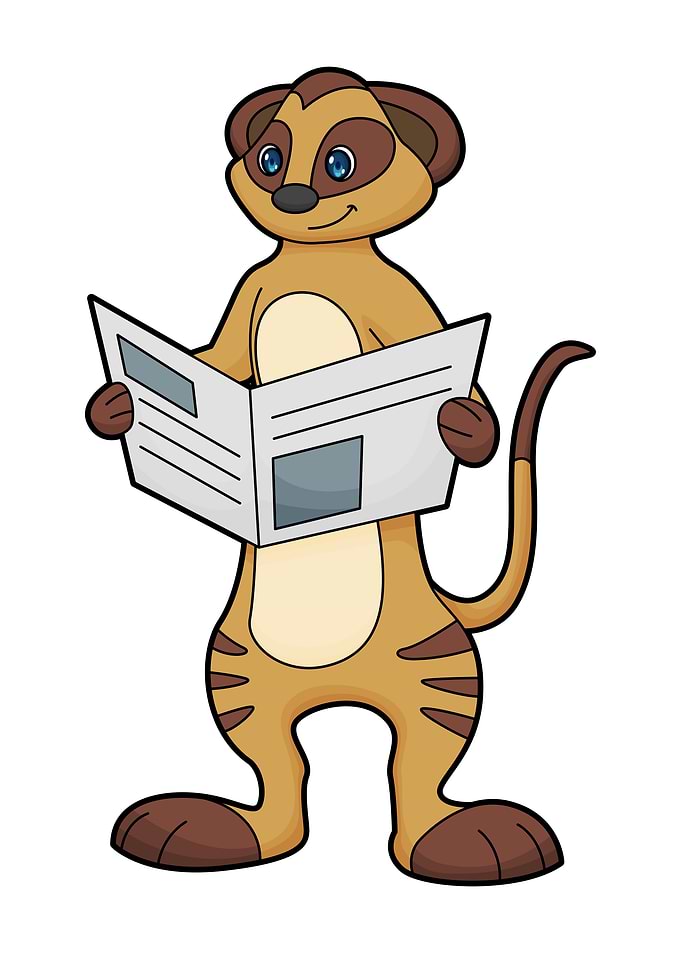 Meerkat Reading Newspaper