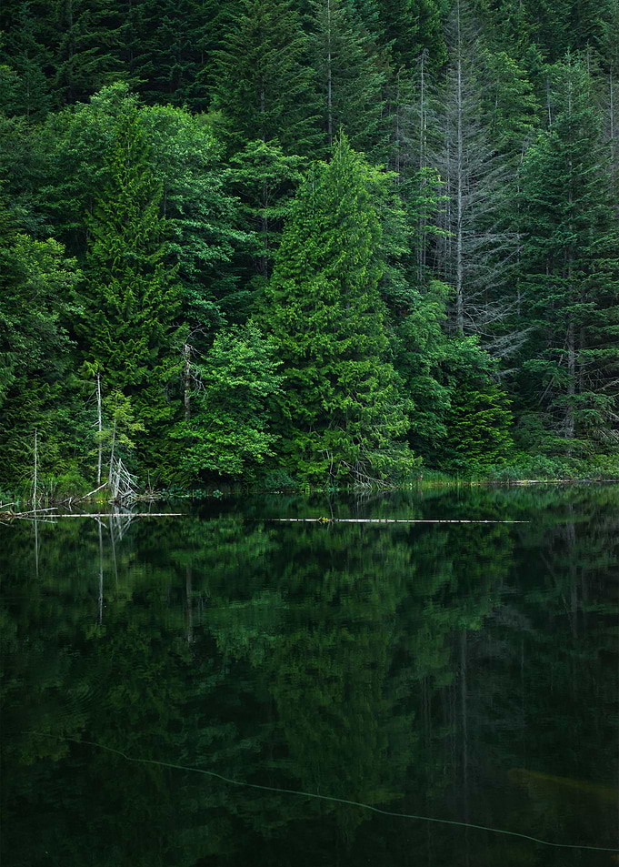 Reflected