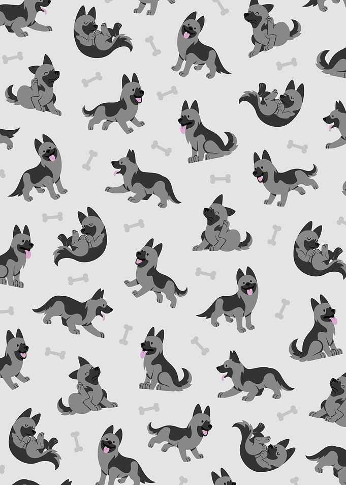 Cute German Shepherd Dog 5