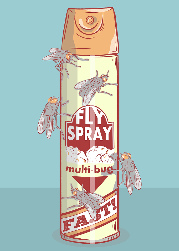 Fly Spray can