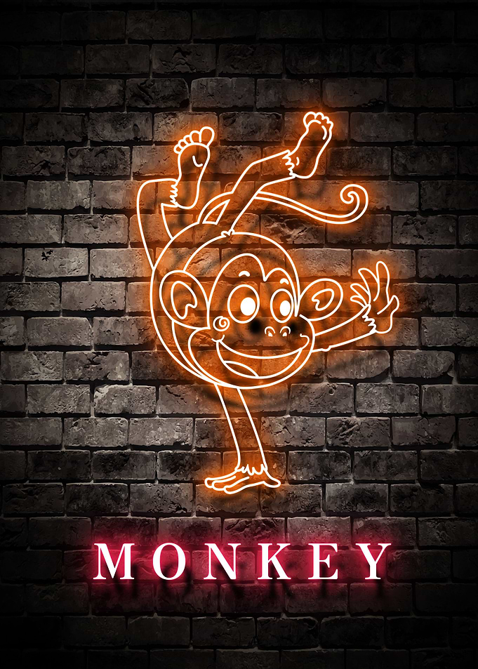 Animal Monkey