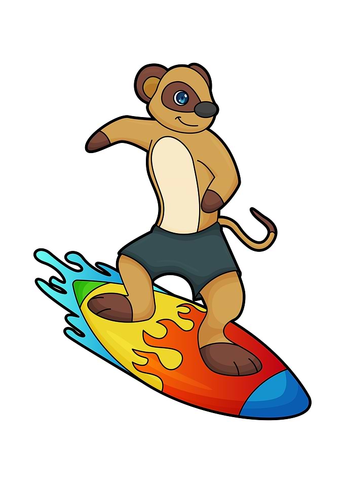 Meerkat Surfer Surfboard