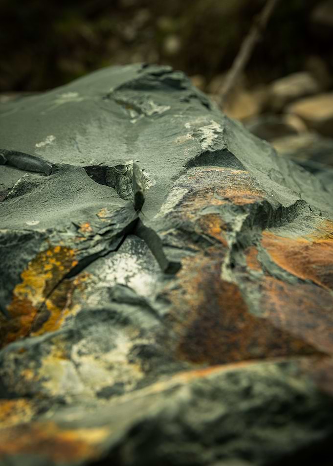 Mineral life