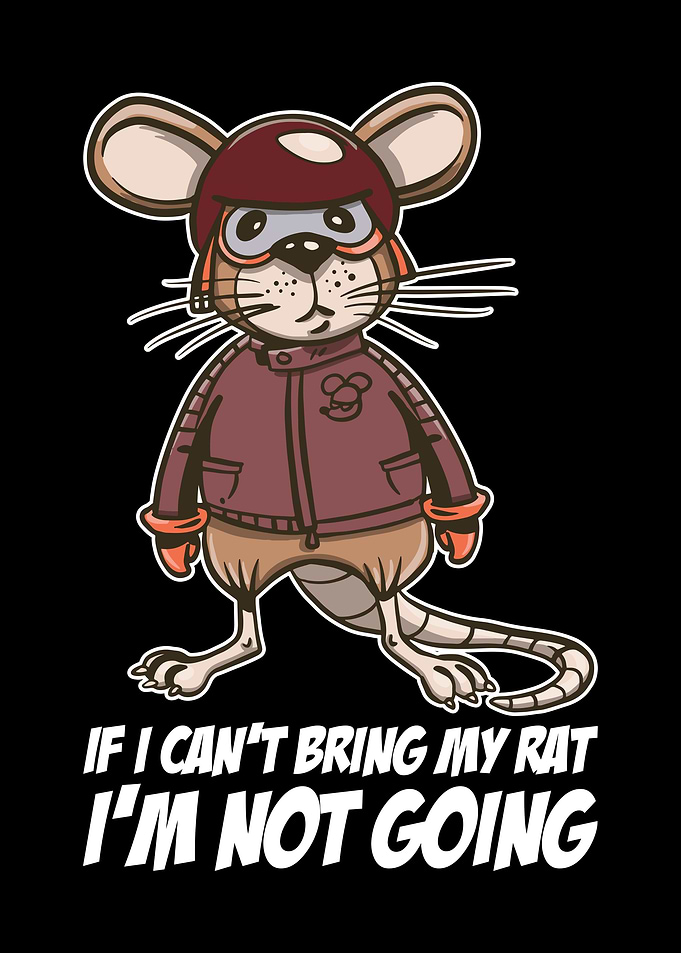 If I Cant Bring My Rat