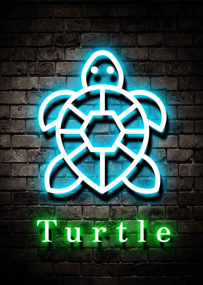 Animal Turtle