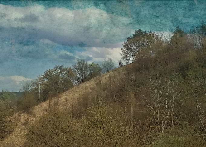 VIntage hill