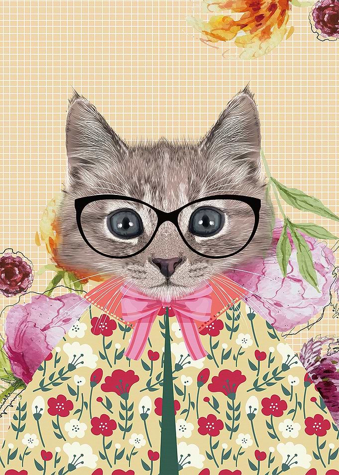MODERN CAT