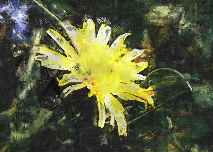 Dandelion blossom artwork