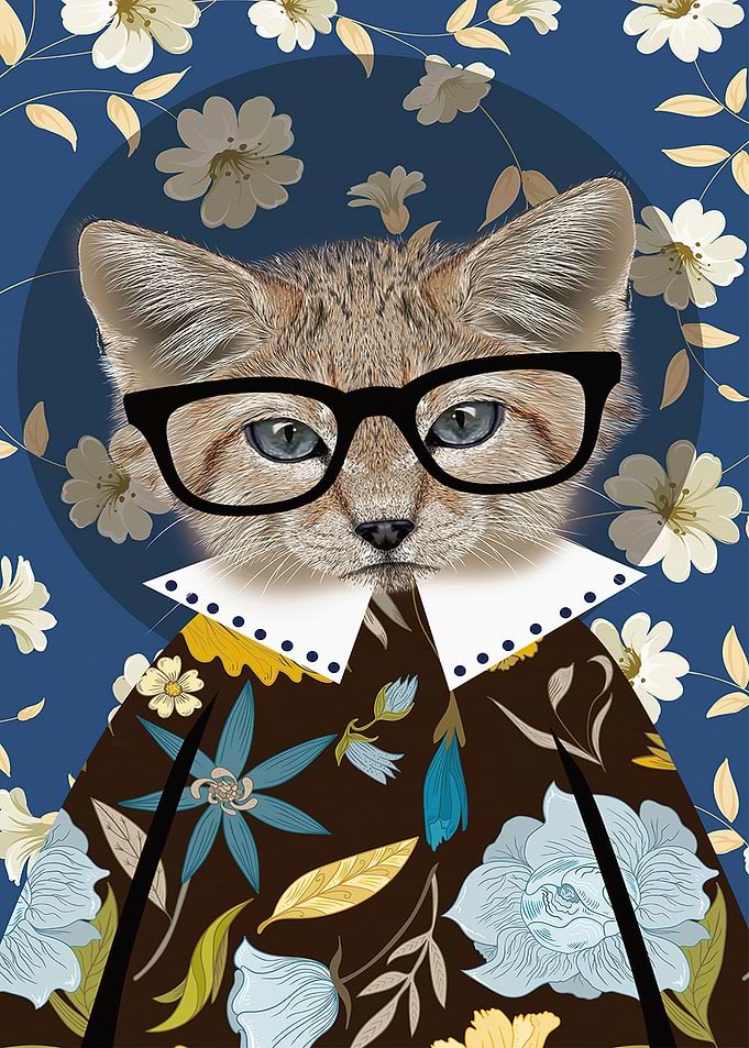 Cat romantic