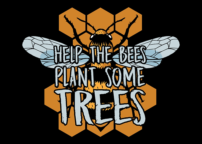 Beekeeper Honeycomb