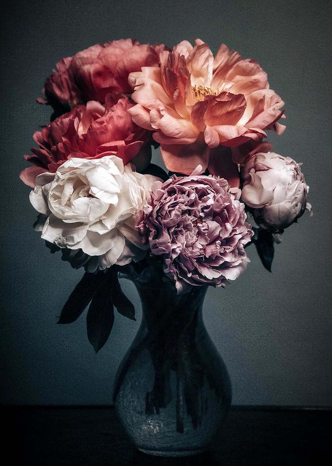Peonies at the Vase