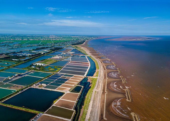 Shrimp farms by the sea