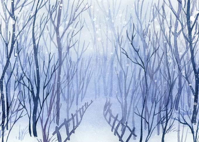 Frozen Foggy Forest Trail