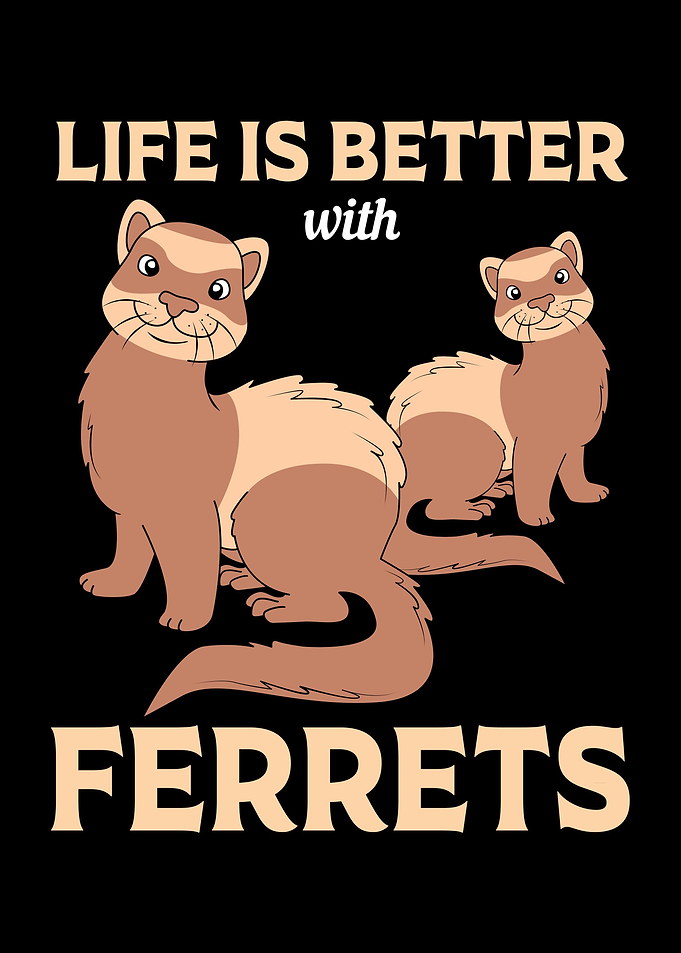 Ferret Lover