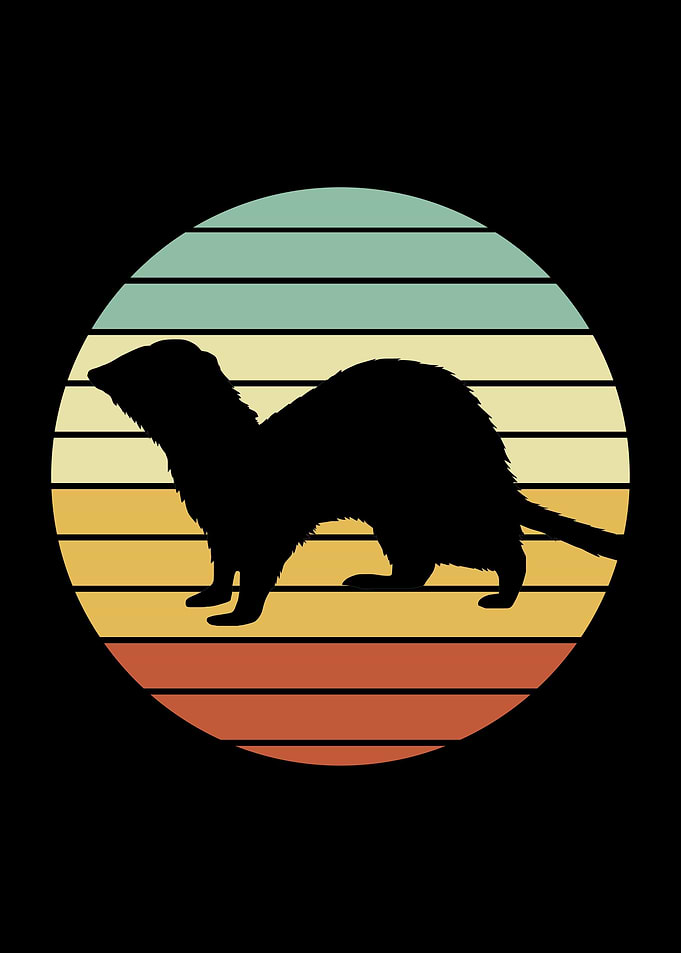 Retro Ferret