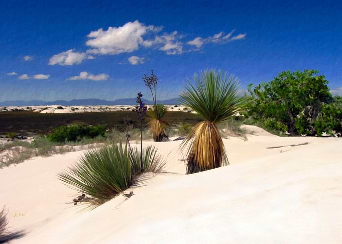 White Sands