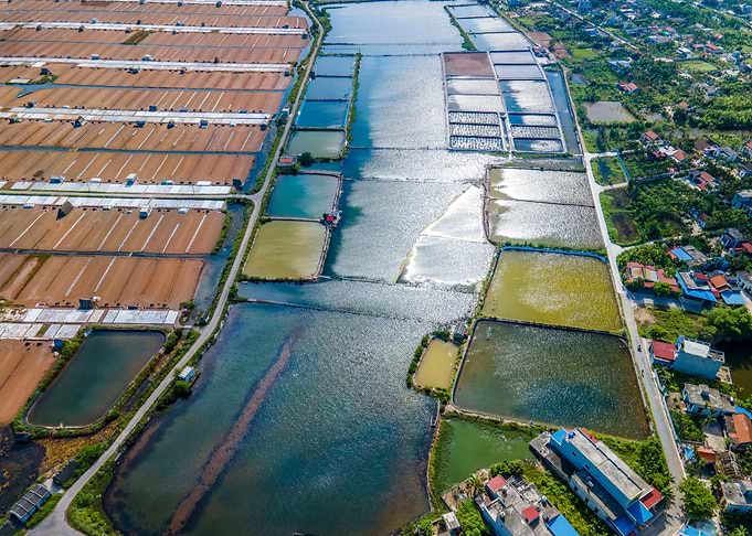 Shrimp farms on a nice day
