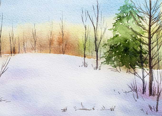 Watercolor Spruce Tree