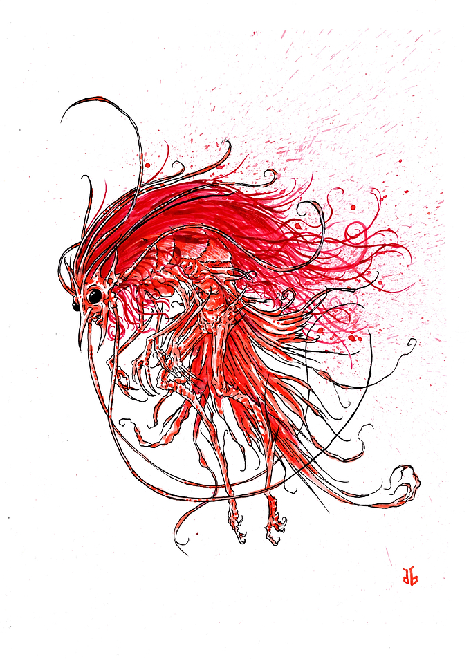 Shrimp mermaid