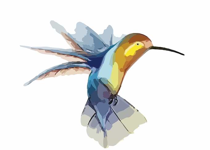 bird markers
