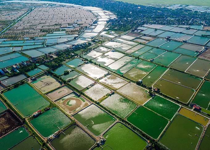 Shrimp farms on a nice day
