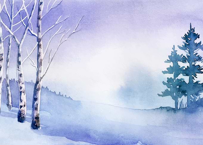 Misty Cedar Forest Paint