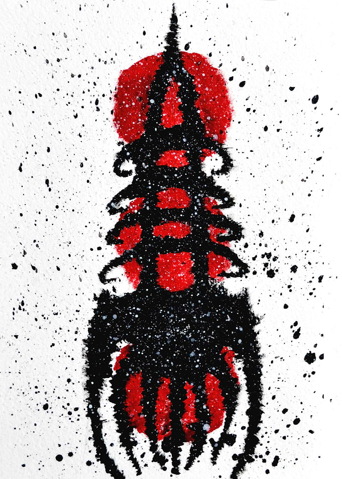 Spider Rocket