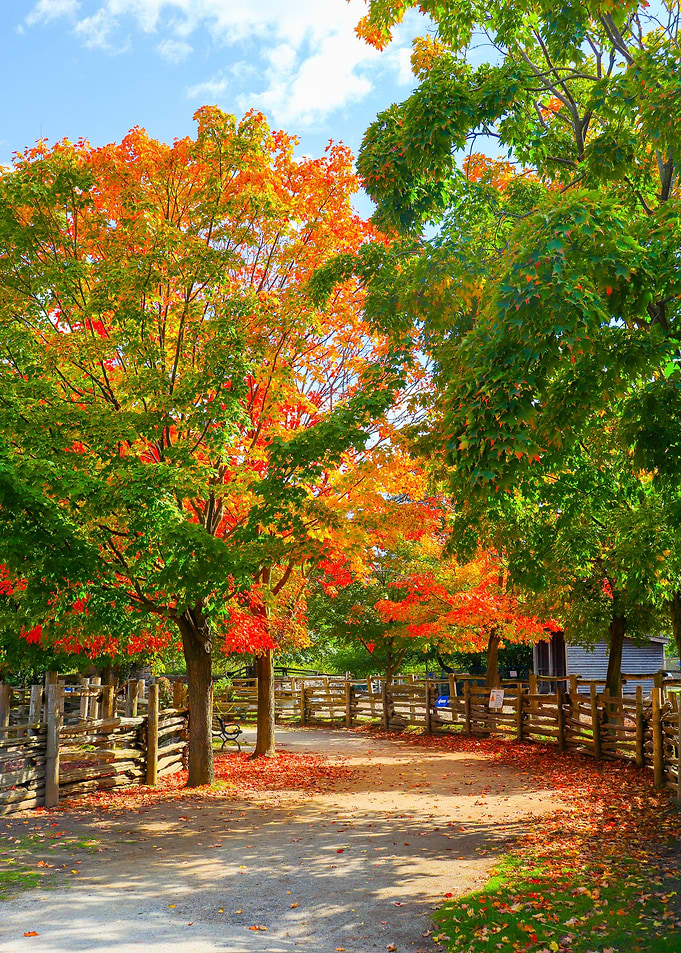 Beautiful Nature Toronto