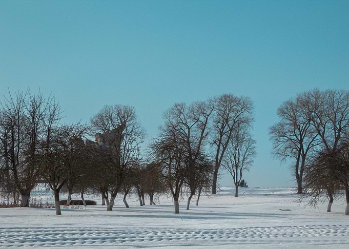 Long Winter